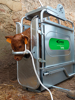 Matériel et sécurité dans l’élevage de bovins